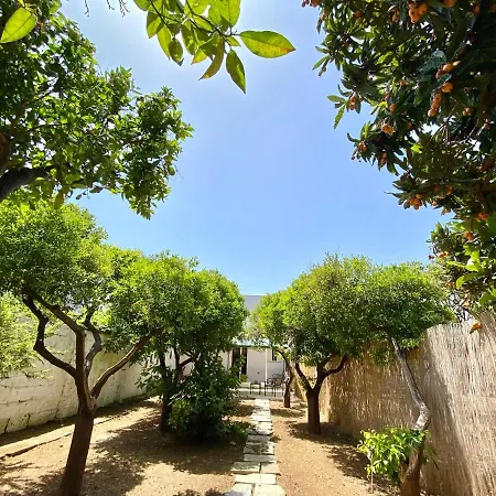 דירה La Casa Di Nina